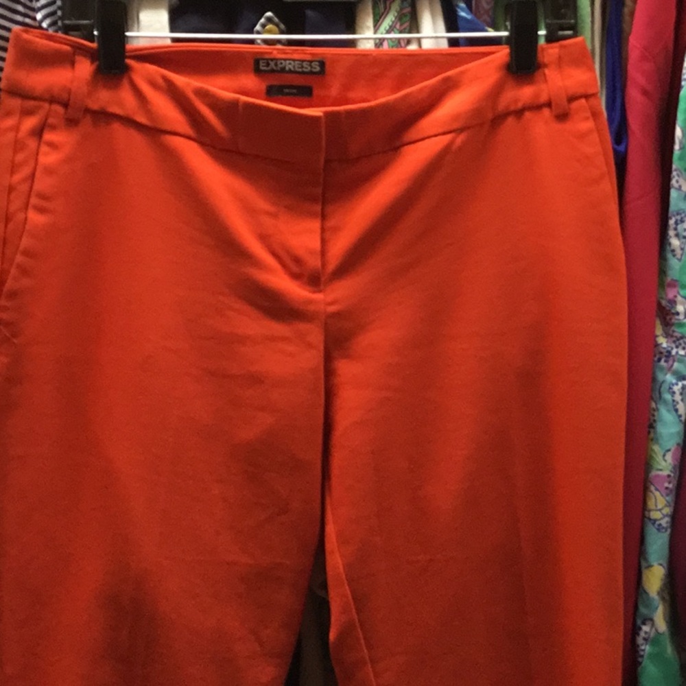 Express editor slacks. - Picture 3 of 5